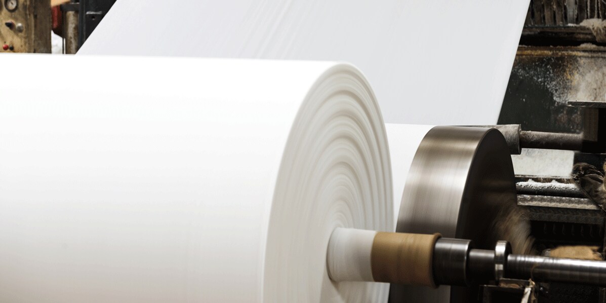 Paper and pulp mill Paper and pulp mill