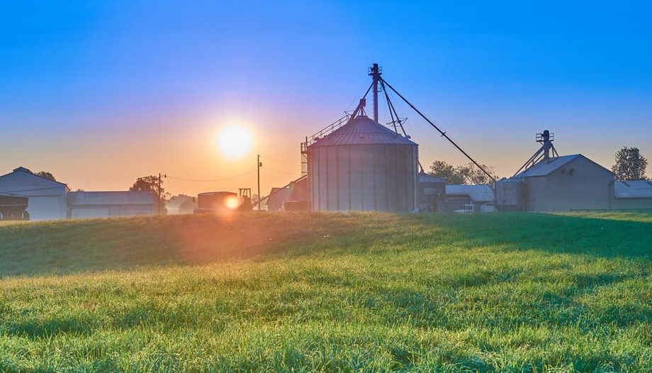 Sunrise Over Farm, KY Sunrise Over Farm, KY