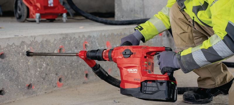 TE 60 22 cordless rotary hammer Rotary hammers Hilti South Africa